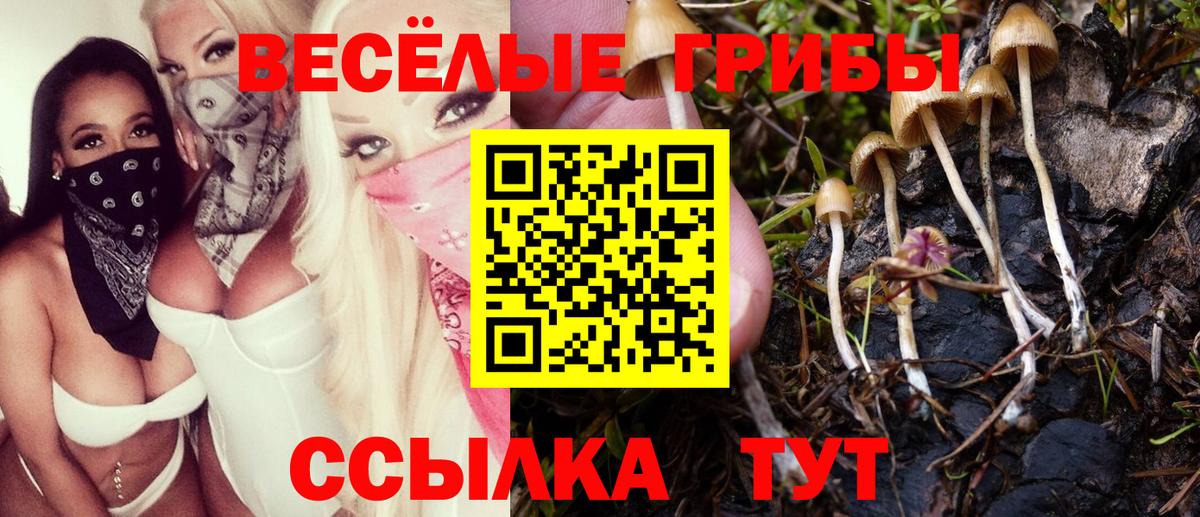 Галлюциногенные грибы Cubensis Ноябрьск