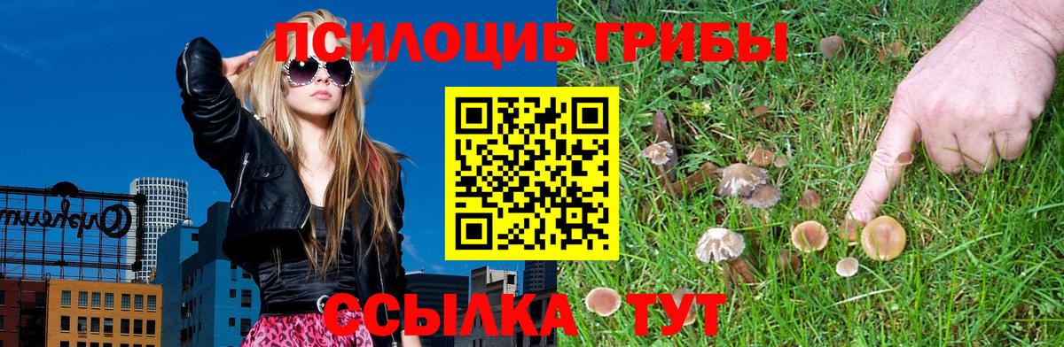 Ноябрьск  Псилоцибиновые грибы ЛСД  цена наркотик  Псилоцибиновые грибы MAGIC MUSHROOMS  Вход с VPN 